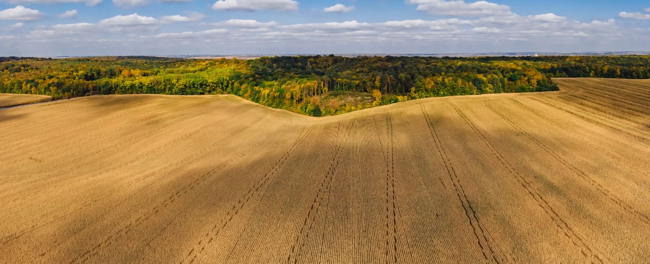 What Can Satellites Teach Us About Plant Health? Satellite Remote ...