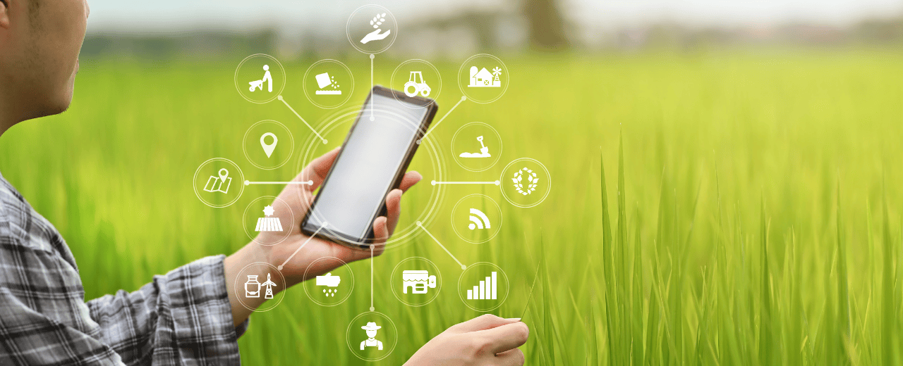 Harnessing Decision Support Systems (DSS) for Sustainable Crop ...