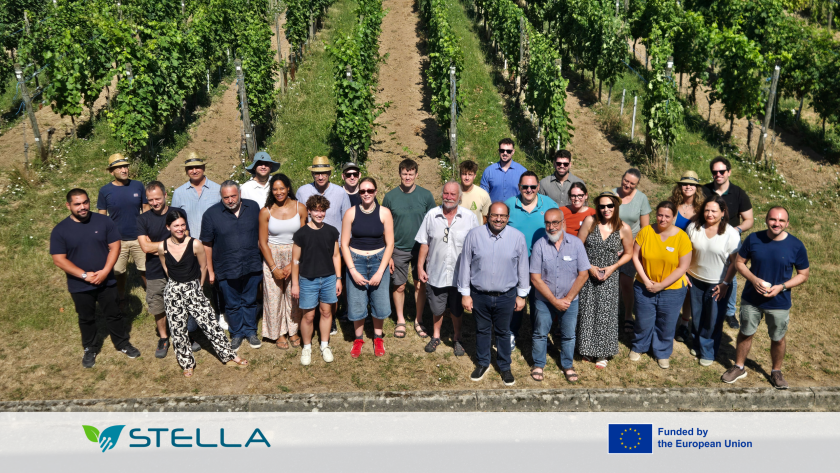STELLA partners meet in Colmar to advance plant health innovation