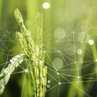 STELLA's Policy Work Progresses Toward Actionable Recommendations for the Digitalisation of Phytosanitary Governance, amid Agricultural Policy Evolution