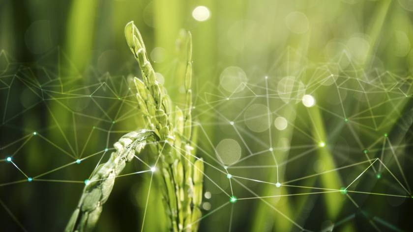 STELLA's Policy Work Progresses Toward Actionable Recommendations for the Digitalisation of Phytosanitary Governance, amid Agricultural Policy Evolution