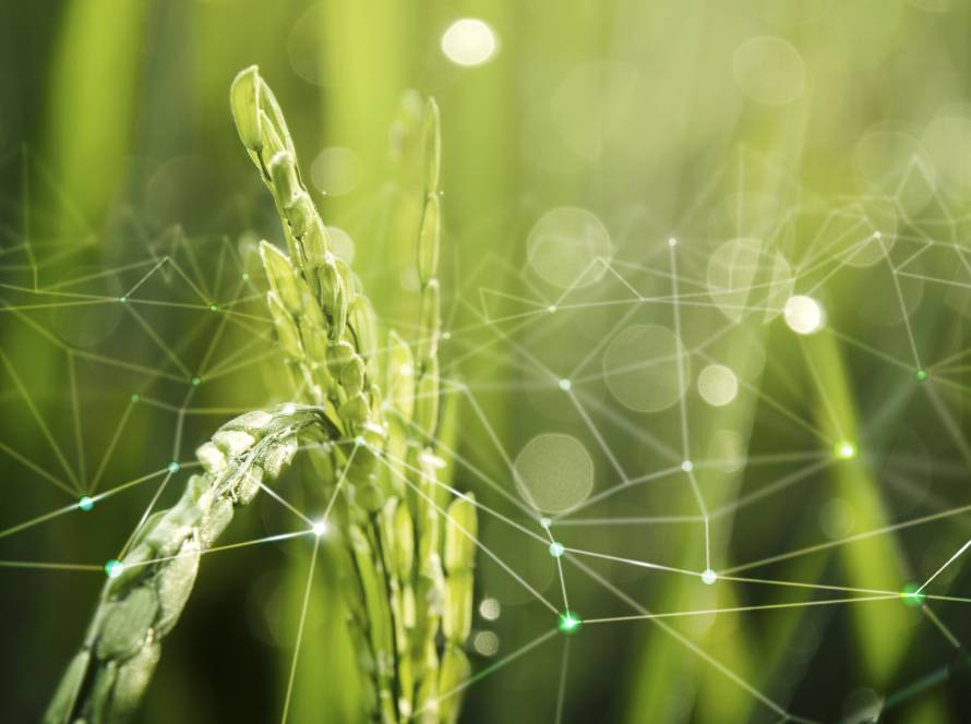 STELLA's Policy Work Progresses Toward Actionable Recommendations for the Digitalisation of Phytosanitary Governance, amid Agricultural Policy Evolution